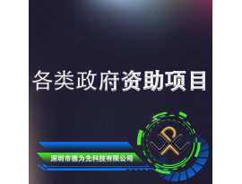 各類政府資助項目